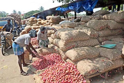 Govt reduces onion stock holding limit for retailers, wholesalers amid rising prices