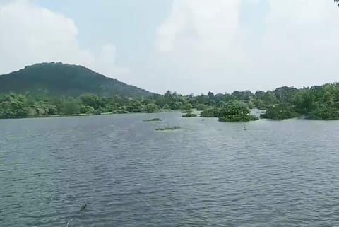 Zoo lake brims after 3 years, thanks to restoration