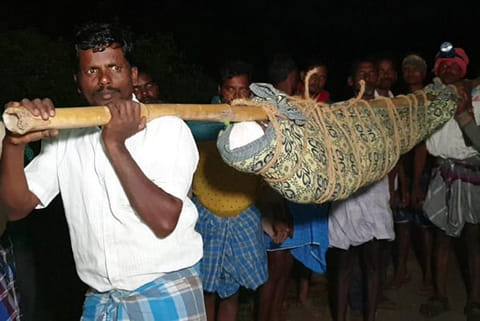Nekkanamalai tribals trek 7 km with body in dholi due to absence of road