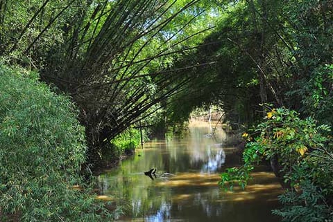 Plan Your Weekend: Sulthan Bathery, a hill station with historical sites, spice plantations