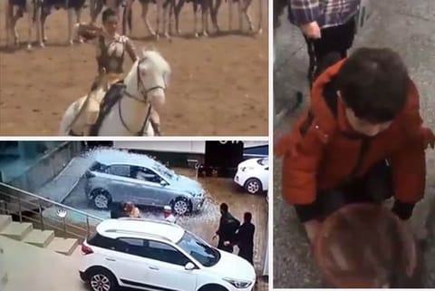 Trending in TN: Kangana Ranaut trolled for sitting on a ‘dummy’ horse, Woman accidentally drives car inside showroom and a child lining a dustbin