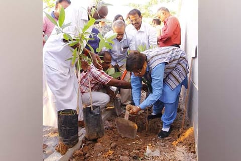 Bedi launches ?Mission Green Puducherry? by planting a sapling on Sunday