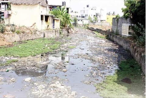 Garbage floating on Nagalkeni canal in Pallavaram