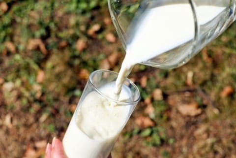 Milk sales decline 8.8 pc after March 16: NDDB