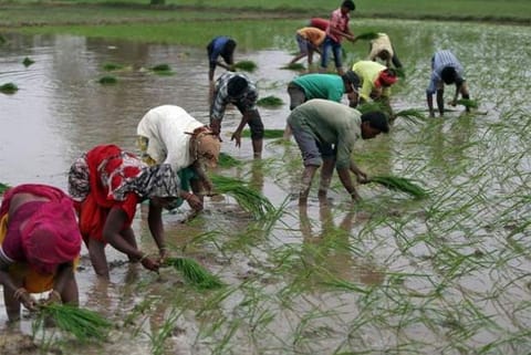 Rice price up Rs 2/kg after surge in demand