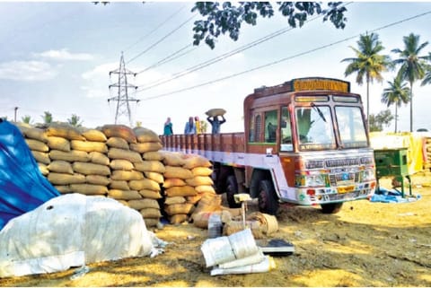 Paddy bags
