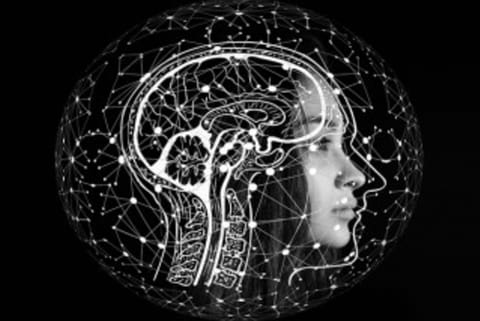 Brain cell that can help track distance discovered