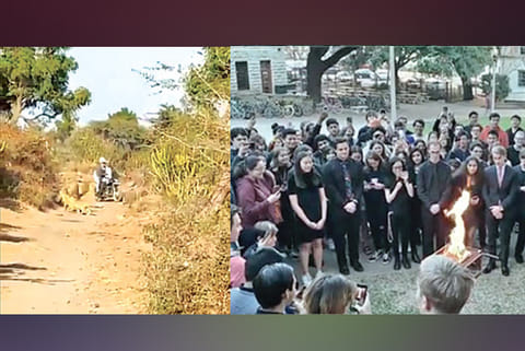 Trending in TN: Japanese smitten by Bengali, University mourns 'brother' fish's death, Well-behaving lions