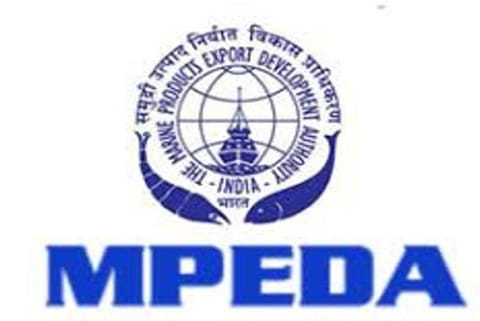 COVID-19 may not impact seafood exports to China: MPEDA