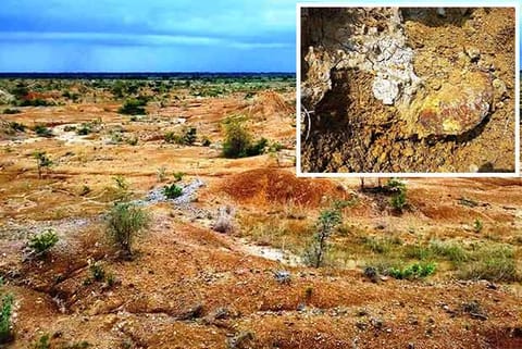 Traces of Perambalur being under sea long ago; (inset) fossils of marine species found in the district