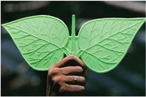 AIDMK party symbol
