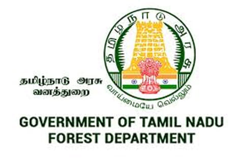 Forest department