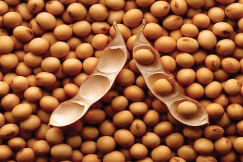 Eat fermented soy products like Natto and live longer