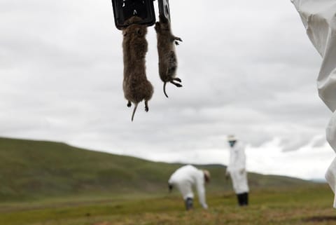 Source: Reuters