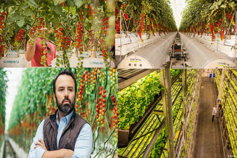 Sky Kurtz says people thought he was crazy when he said he would grow tomatoes in the desert