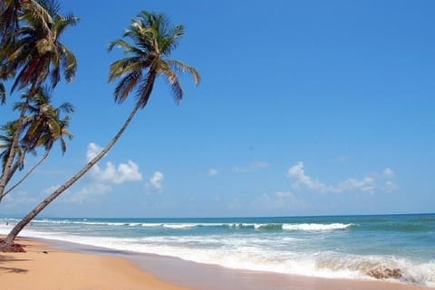 Swimming banned off Goa beaches for 48 hours