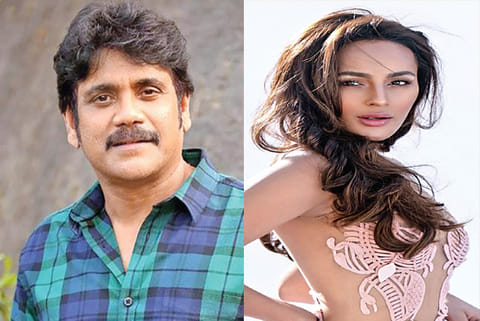 Nagarjuna; actress Seerat Kapoor