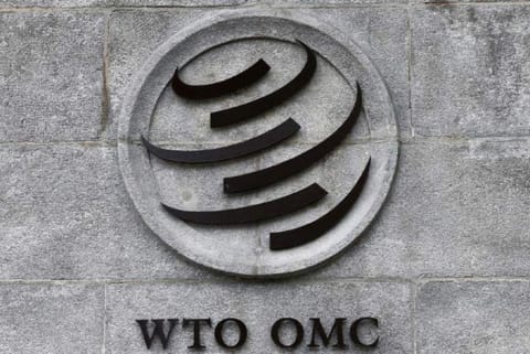 China loses WTO dispute over market economy status