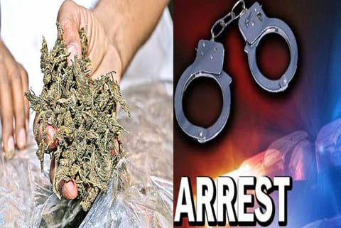 Duo held for smuggling ganja in Ponneri