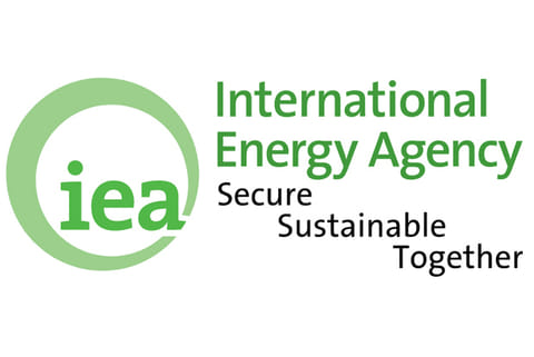 Coronavirus may shrink global oil demand: IEA