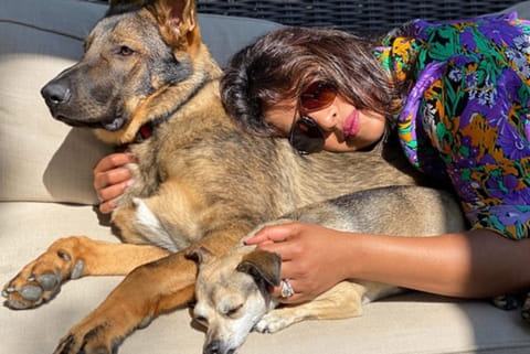 Priyanka Chopra's new pic packed with sunshine, cuddles