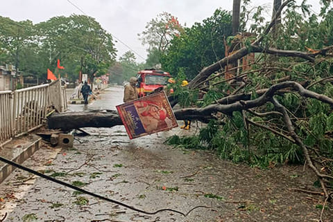 A tree blocks a road after being uprooted due to heavy winds in Bhadrak, Odisha