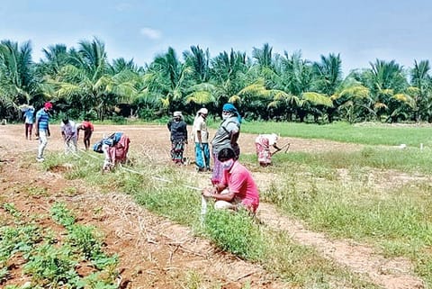 Works under way for excavation at Kodumanal in Erode district on Thursday