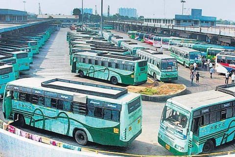 File photo: TNSTC buses