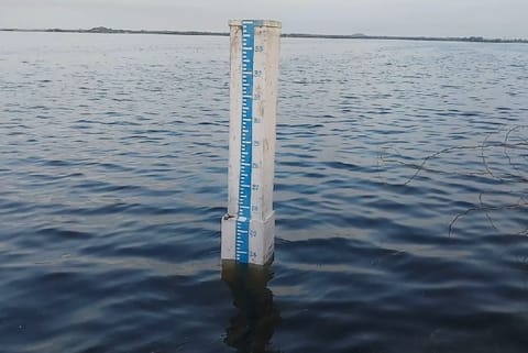 Chengalpettu's Maduranthakam lake reaches its full capacity