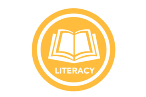 TN’s literacy rate likely to increase by 9 per cent in new census