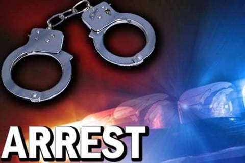 Scuba diver thanks cops for nabbing her groper