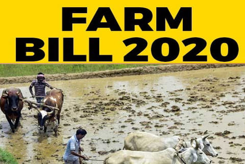 Parties, ryots’ assn oppose Bills on APMC, MSP