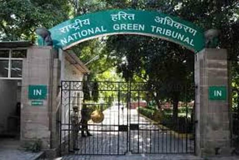 Anti-tobacco body welcomes NGT's move on disposal of cigarette,bidi butts