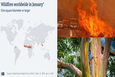 Fire fighters battle a fire near the town of Hout Bay, South Africa
