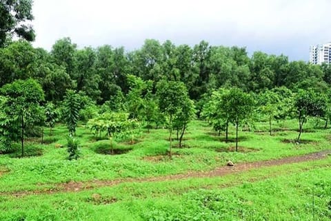 The exotic tree species like eucalyptus, pine, and wattle were introduced in forest lands of Tamil N