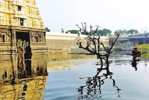 View of the inundated Jalaganteswarar temple in Vellore.