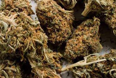 40 kg ganja smuggled from AP seized, 6 held