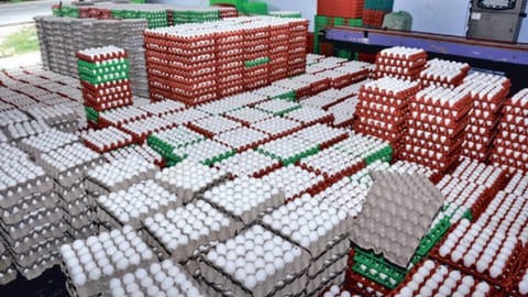Eggs kept at a poultry in Namakkal
