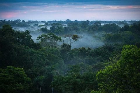 Brazil to end military-led programme against Amazon logging