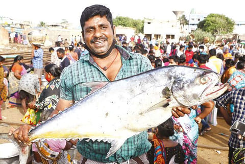 A fisherman shows off his catch at Kasimedu market