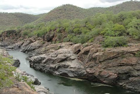 TN's Cauvery delta region witnesses protests over Mekedatu