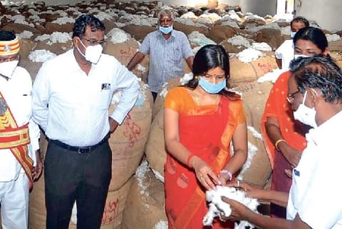 District Collector P Gayathri Krishnan inspects the auction at a regulated market in Tiruvarur