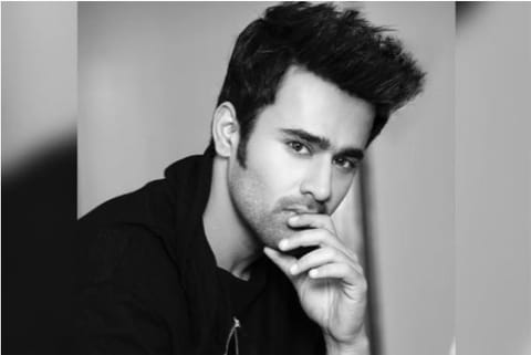 Image source: Pearl V Puri's Instagram