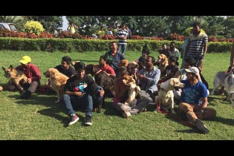 Pet park to come up in cityunder Singara Chennai 2.0