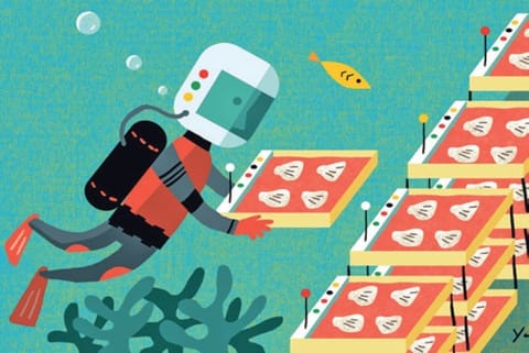 Carbon Sequestration: Good for oceans, and great for business