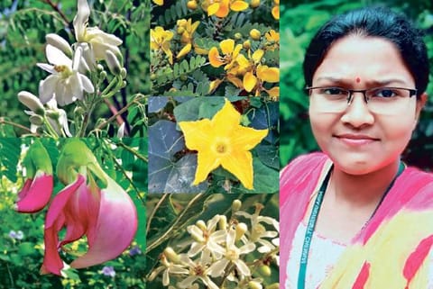 Edible Flowers; Maria Jenita