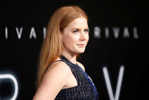 Amy Adams (File Photo)