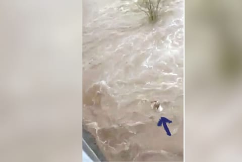 Kurunakaran in water