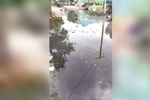 Sewage water seen lying stagnant on house premises in Ambattur and Korattur