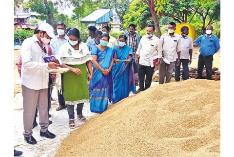 File Image of the Central team members inspect paddy at a DPC in Thanjavur 